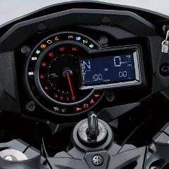 Ninja H2 SX - Details (1)